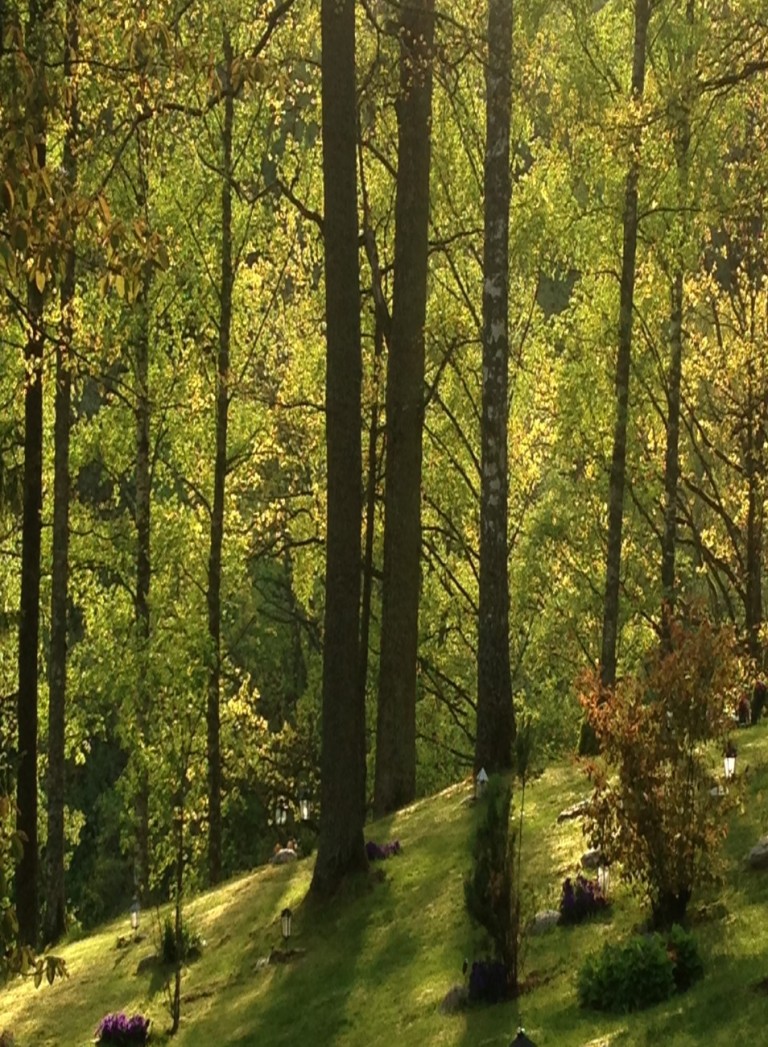 Torsdagen 20 Maj 19.45 2015…