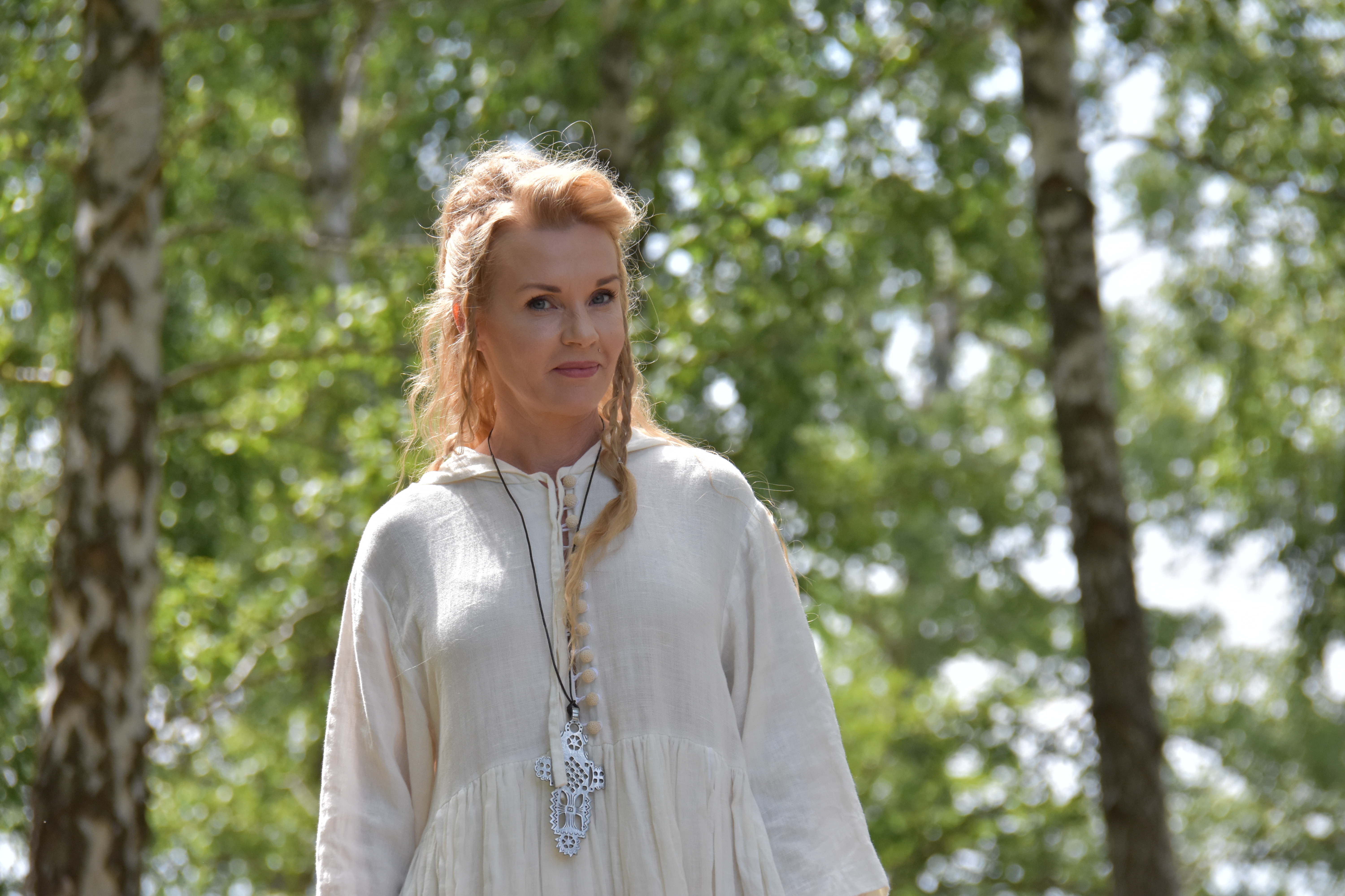 Viking från mitt land…