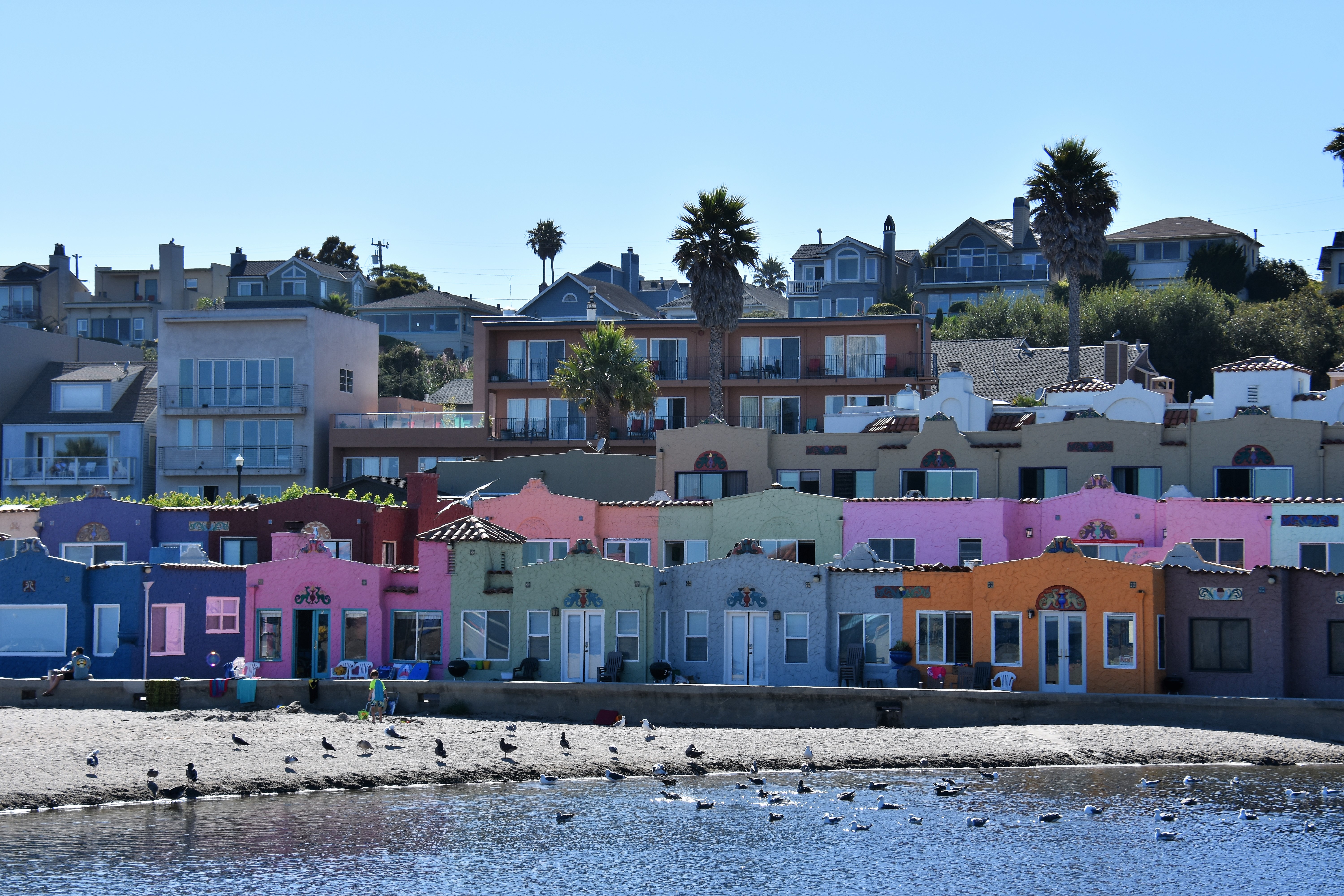 Blå, rosa, orange och ett grönt träd…